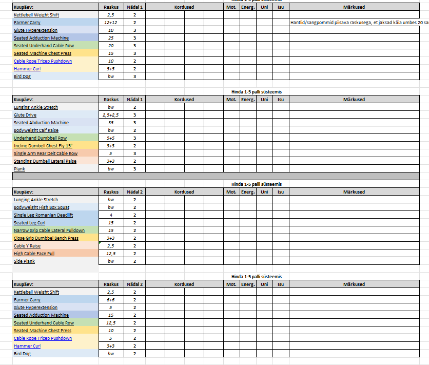 Personaalse treeningkava näidis Exceli formaadis, kus on kirjas harjutused, raskused, seeriad, kordused ja enesetunde hindamine